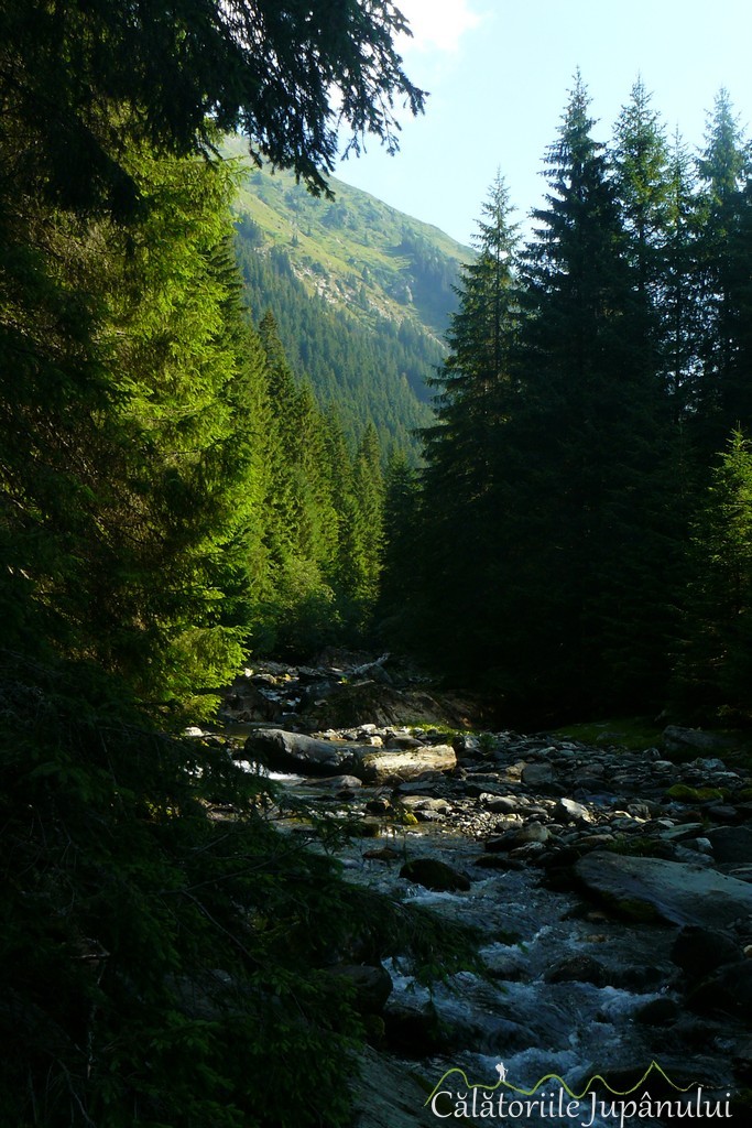 P1190922