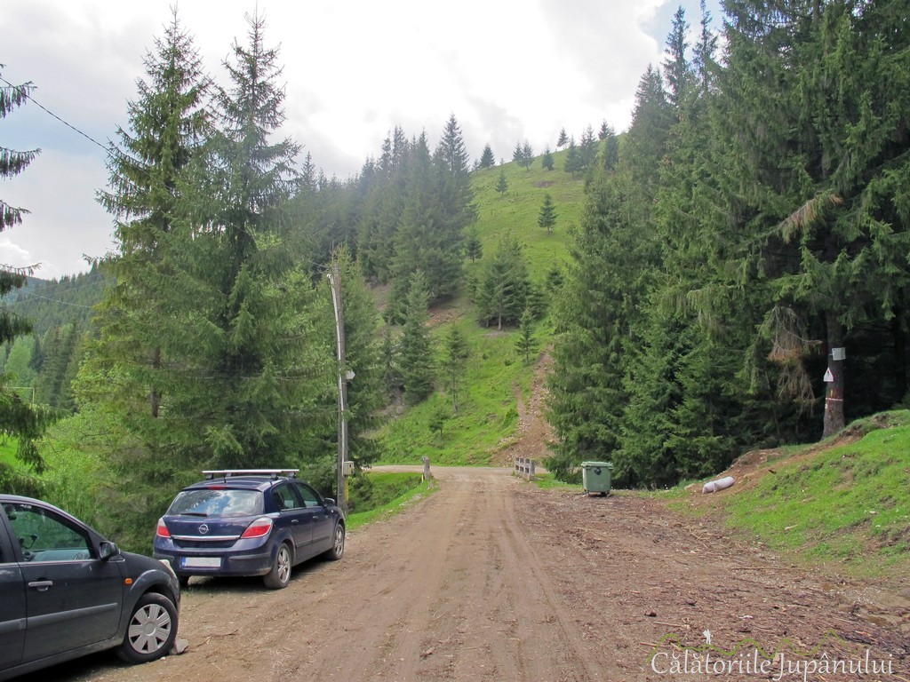 piatra singuratica 2016 010