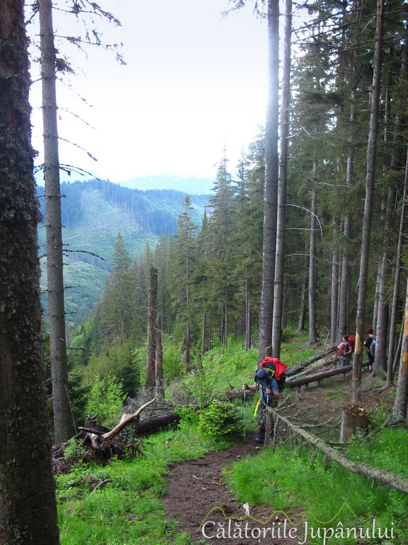 piatra singuratica 2016 063