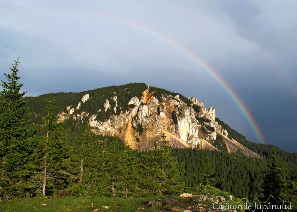 piatra singuratica 2016 159