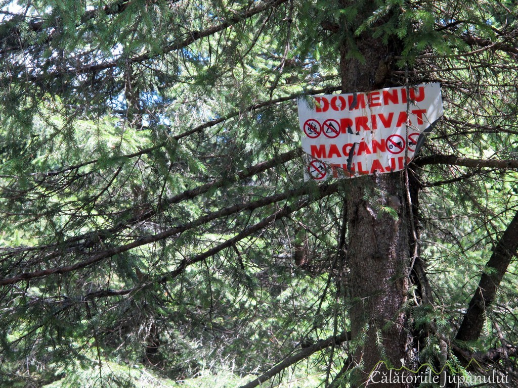piatra singuratica 2016 352