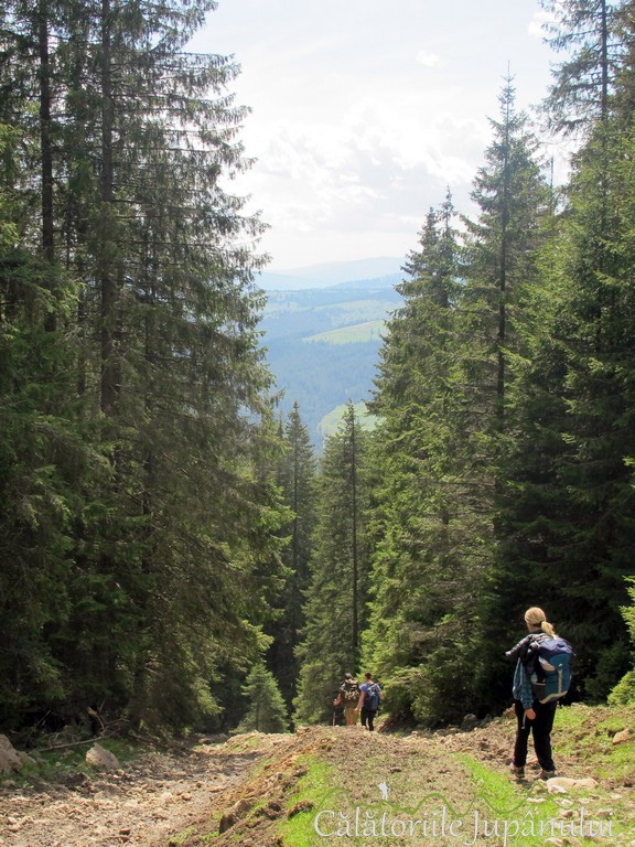 piatra singuratica 2016 469