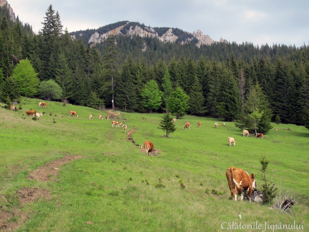 piatra singuratica 2016 476